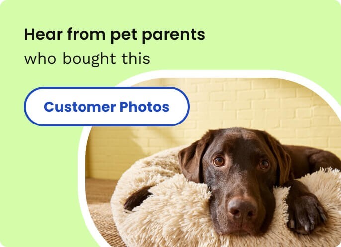 Millers Forge Pet Nail Clipper – Medium Size, Stainless Steel, for Dogs & Cats