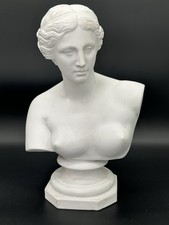 Büste - Venus von Milo