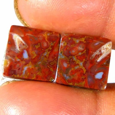 10.70Cts Natural Red Palm Root Agate Cushion Matched Pair Cab 12x12x3mm Top Gems
