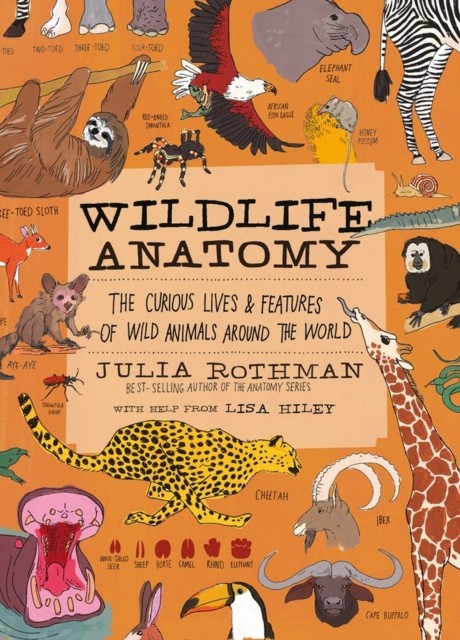 Wildlife Anatomy by Julia Rothman (Paperback Book)
