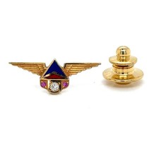 Delta Air Lines 25-Year 10K Gold Award Servic...