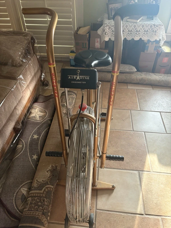 Schwinn Air-Dyne AD4 dual action bike