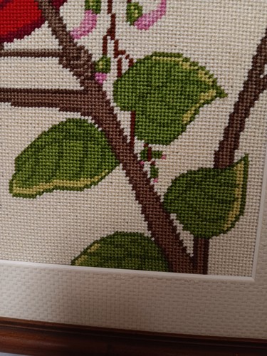 Vtg Tropical Bird Needlepoint Matted Framed In Faux Bamboo Nature Love Gift READ - Picture 7 of 13