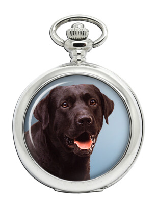 Schokoladen Labrador Retriever Taschenuhr