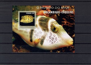 F3 Fische Block postfrisch Mosambik
