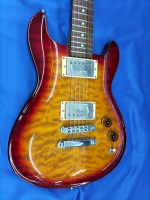 FERNANDES APG-95GF Electric Guitar-01