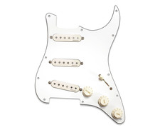 Fishman Fluence Greg Koch Sig Stratocaster Lo...