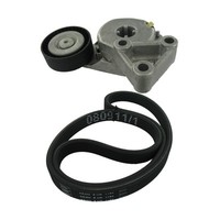 SKF Keilrippenriemensatz Vkma 31204