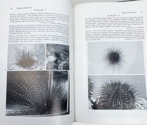 Poisonous Venomous Marine Animals of the World Bruce Halstead Hardback Book - Picture 9 of 10