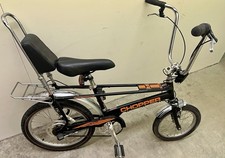 eBay Auction Picture