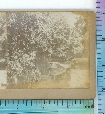 Forest & Lake Scene in or near Kalamazoo MI Michigan Ross W. Eddy ? Stereoview