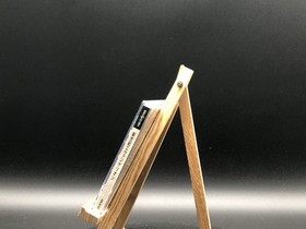 Shinseiki Evangelion w/spine (Sega Saturn,1996) from japan