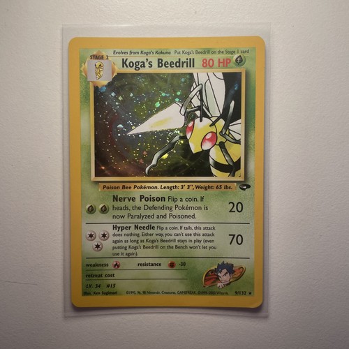 Koga's Beedrill