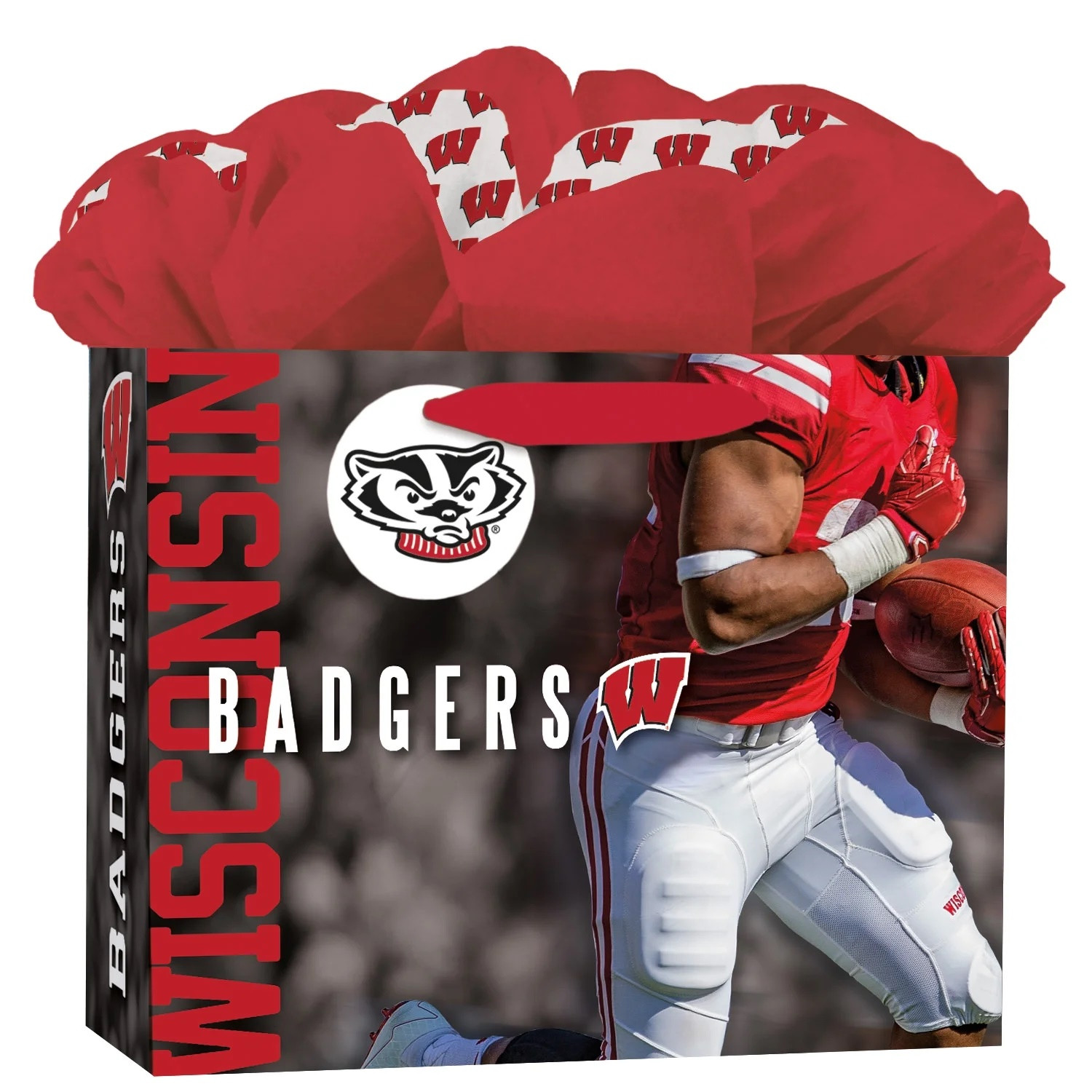 Подарочный пакет Wisconsin Badgers GoGo, средний