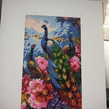 Completed Diamond Art Painting