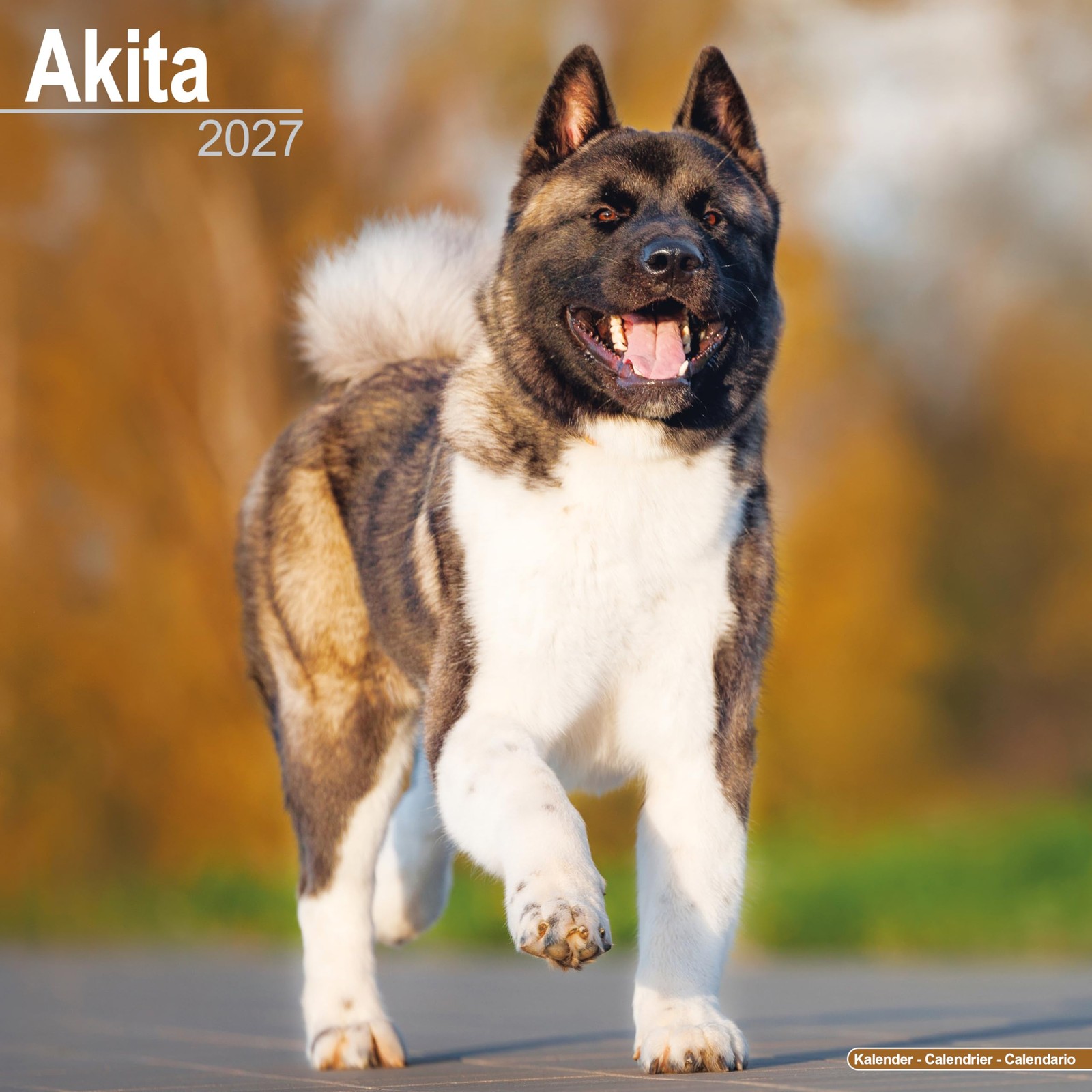 Rackhams Akita Calendar 2027, Wall Calendars, Month To View, Dogs, Gift - Image 6