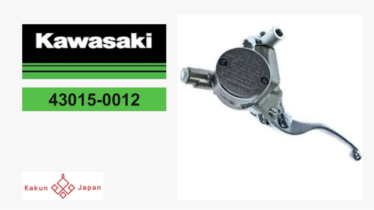 Kawasaki OEM 43015-0012 Vulcan Master Cylinder '99-'08 | eBay