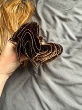 hair extensions human hair