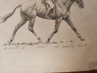 Picture 3 of 7
