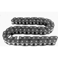 INA 553 0251 10 Steuerkette FüR Audi VW A6 C6 A8 D3 R8 Q7 A5 Touareg 4LB 4F2