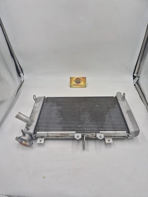 Radiateur D'Occasion Kawasaki Ninja ZX-4R 2024–2025 Cod. 390600758 - Photo 1/4