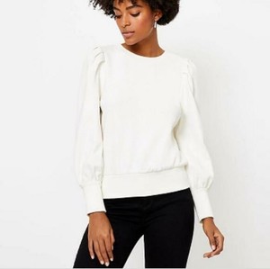 ann taylor loft sweatshirt