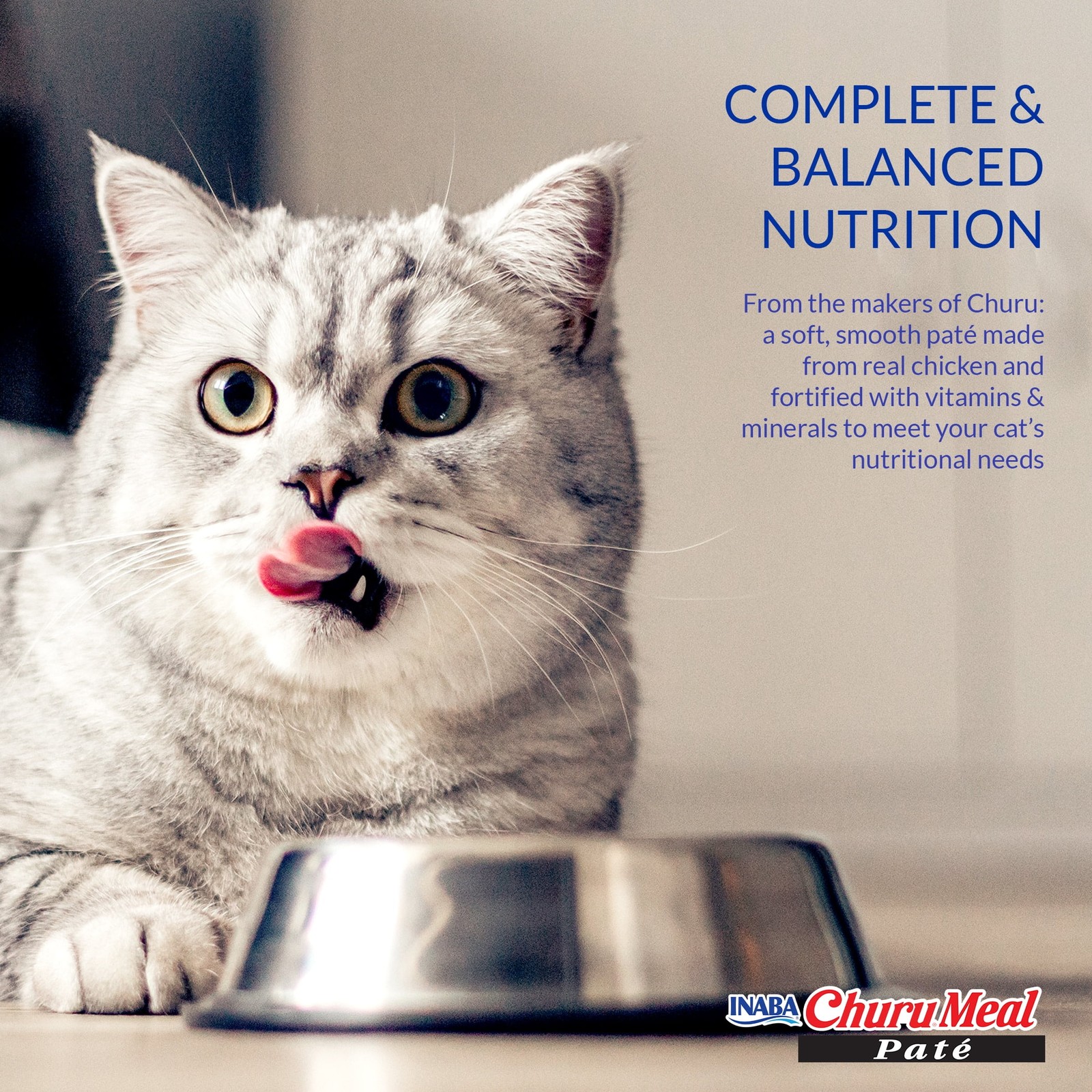 INABA Churu Meal Paté Adult Wet Cat Food, 2.29 oz cup, Chicken Variety Pack