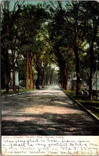 Temple Street New Haven Connecticut CT c1906 Postcard