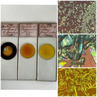 Antique Trio Of Microscope Slides. Showing Chemical Crystals . By Norman.