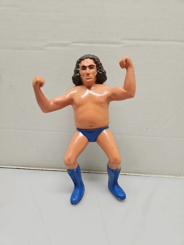1984 Titan Sports Action Figure Wrestling Supersta...