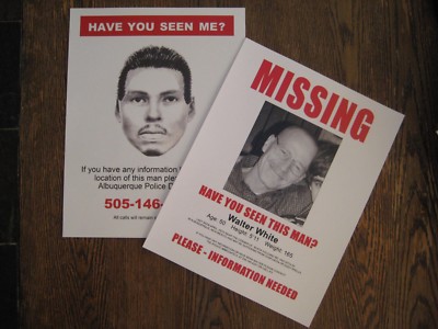 missing walter white