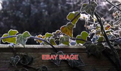 FOTO WINTER NOTTINGHAMSHIRE SELSTON FROST EFEU BOKEH