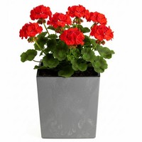Howhomely ÜBertopf Blumentopf 30Xh31 Pflanztopf BlumenküBel Grau Betonoptik Deko