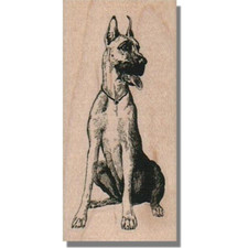 Mounted Rubber Stamp, GREAT DANE SITTING, Dog,Animal,Looking,Dogs,Nature,Pet,lg