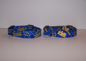 panthers dog collar