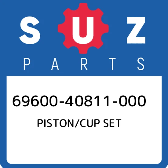 .PISTON/CUP SET