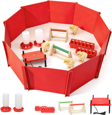 Chick Brooder Box Starter Kit with Heating Plate & Feeder for Baby Chicks