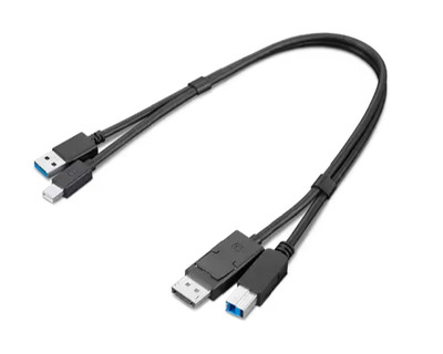 Lenovo ThinkStation Mini Display Port to DP - USB-A to USB-B 3.0 Dual Head Cable