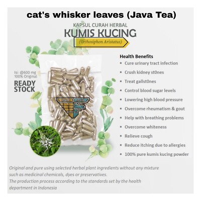100% Pure Capsule Cat Whisker Orthosiphon Aristatus Natural organic Wild Crafted