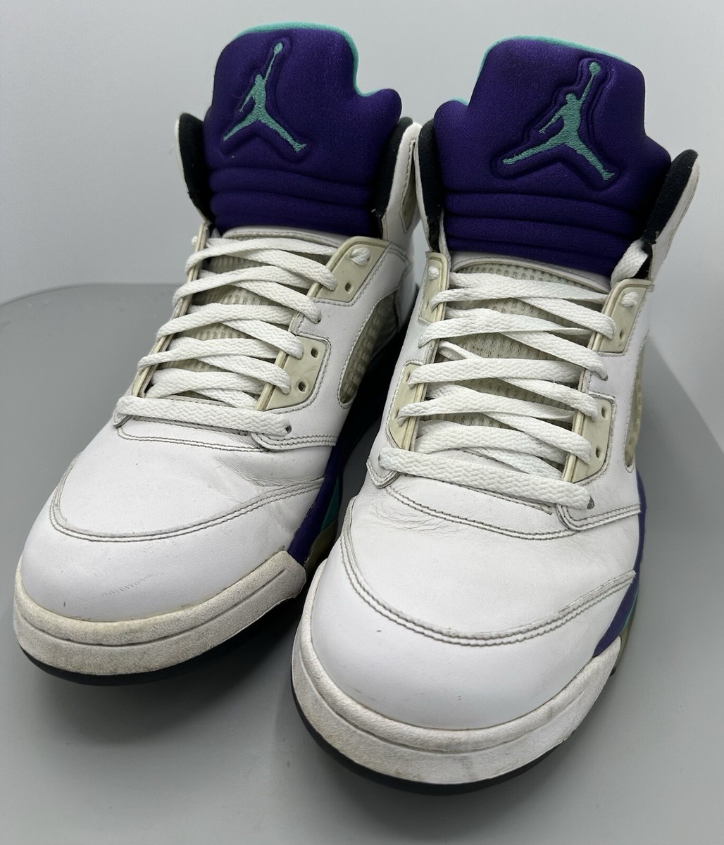 2013 Nike Air Jordan 5 Retro Grape 138027-108 Men display picture 1