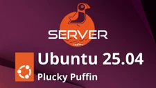 Ubuntu Server 25.04 Plucky Puffin USB Flash Drive