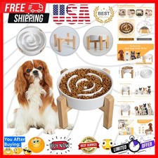 Elevated Slow Feeder Dog Bowl - Raised Ceramic Dog Bowl with Anti-Slip Stand ...