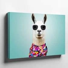Stylish Llama Stands Poised Against A Soft, Mint Green Background That Wall Art