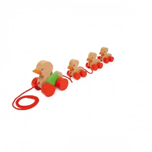 Pulling Duck Family