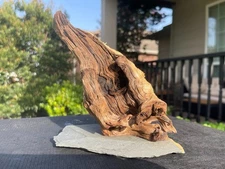 MOUNTED MOPANI WOOD AQUARIUMS FISH RIPTILES DECORATION PET SUPPLIES ART GARDEN