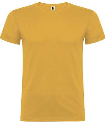 Beagle T-Shirt Herren | Roly | CA6554