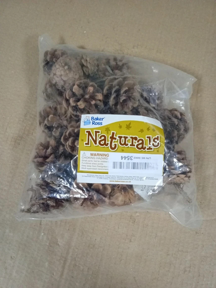Baker Ross AF923 Natural Pine Cones Ideal Arts & Crafts Projects Decoration New