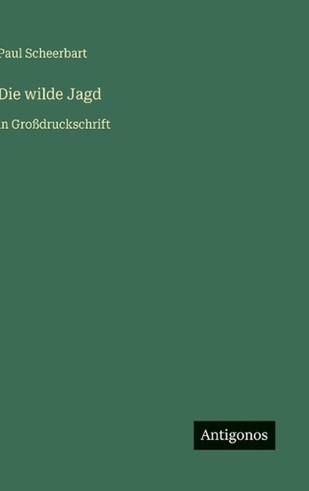 Die wilde Jagd: in Grossdruckschrift by Paul Scheerbart (German) Hardcover Book