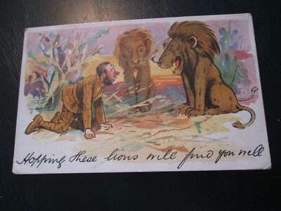 Comic Postkarte ''Ich hoffe, diese Löwen finden dich gut'' verschickt 1906