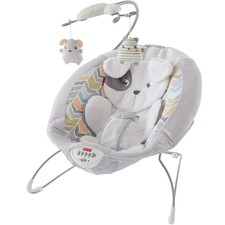 fisher price fairytale deluxe bouncer